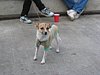 IMG_1267.JPG