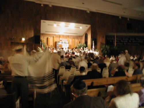 P1010025.jpg
