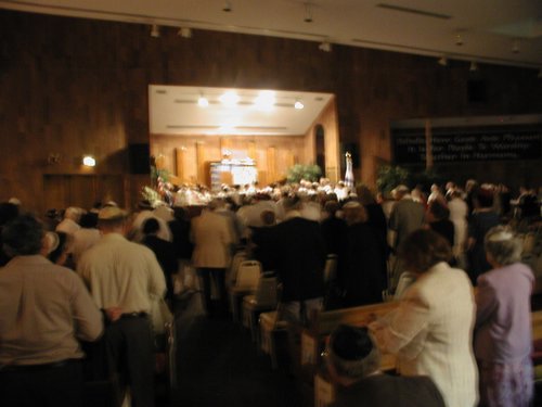 P1010026.jpg