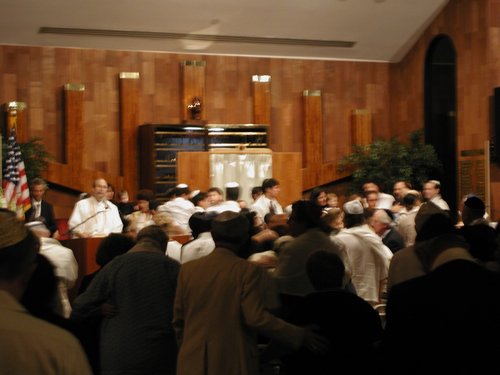 P1010033.jpg