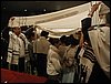 P1010018.jpg